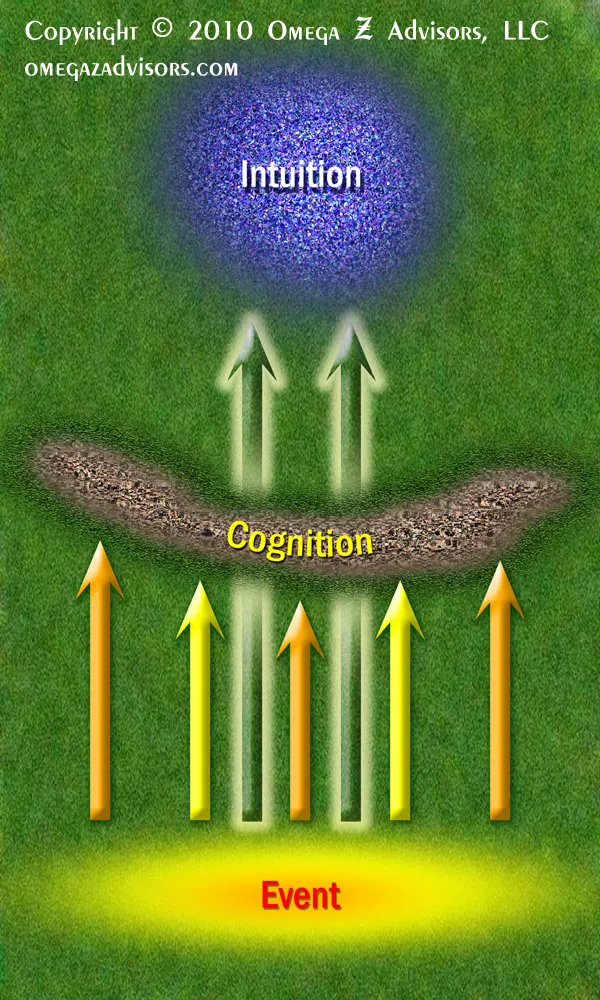 Intuition influences thought processes by picking up aspects of events that our cognition does not pick up.