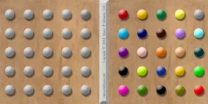 Homogeneity & Diversity