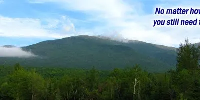 Seeing The Forest For The Trees, Air Force Analogy