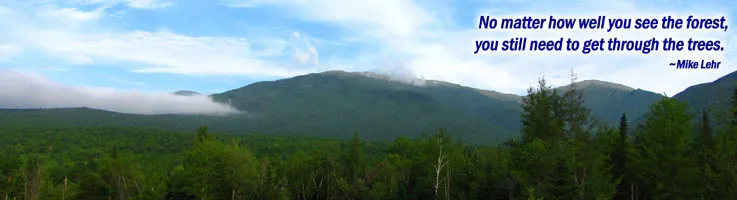 Seeing The Forest For The Trees, Air Force Analogy