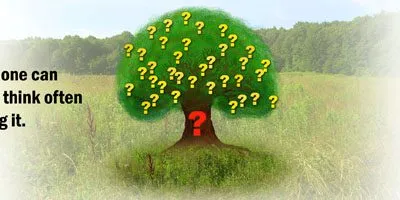 Influencing Others By Asking Questions