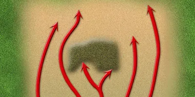 During A Crisis At Work, Expanding Your Authority and Power