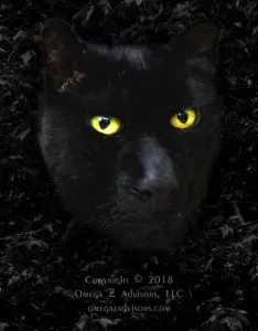 Lessons about success and failure exist in the Black Panther movie.