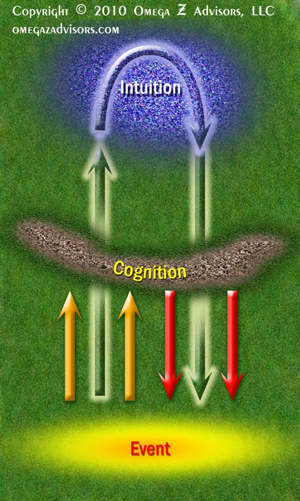 Intuition influences thought processes in how we interpret and react to events.