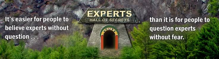 Most Blasphemous Secret About Experts